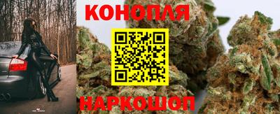 шишки Севастополь