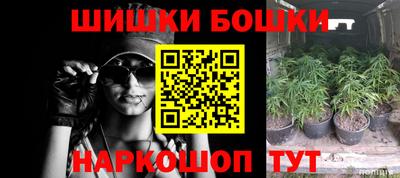 a pvp Свободный