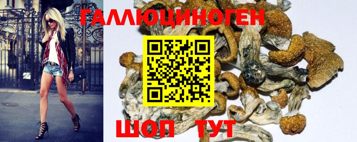 Псилоцибиновые грибы Psilocybe Белово